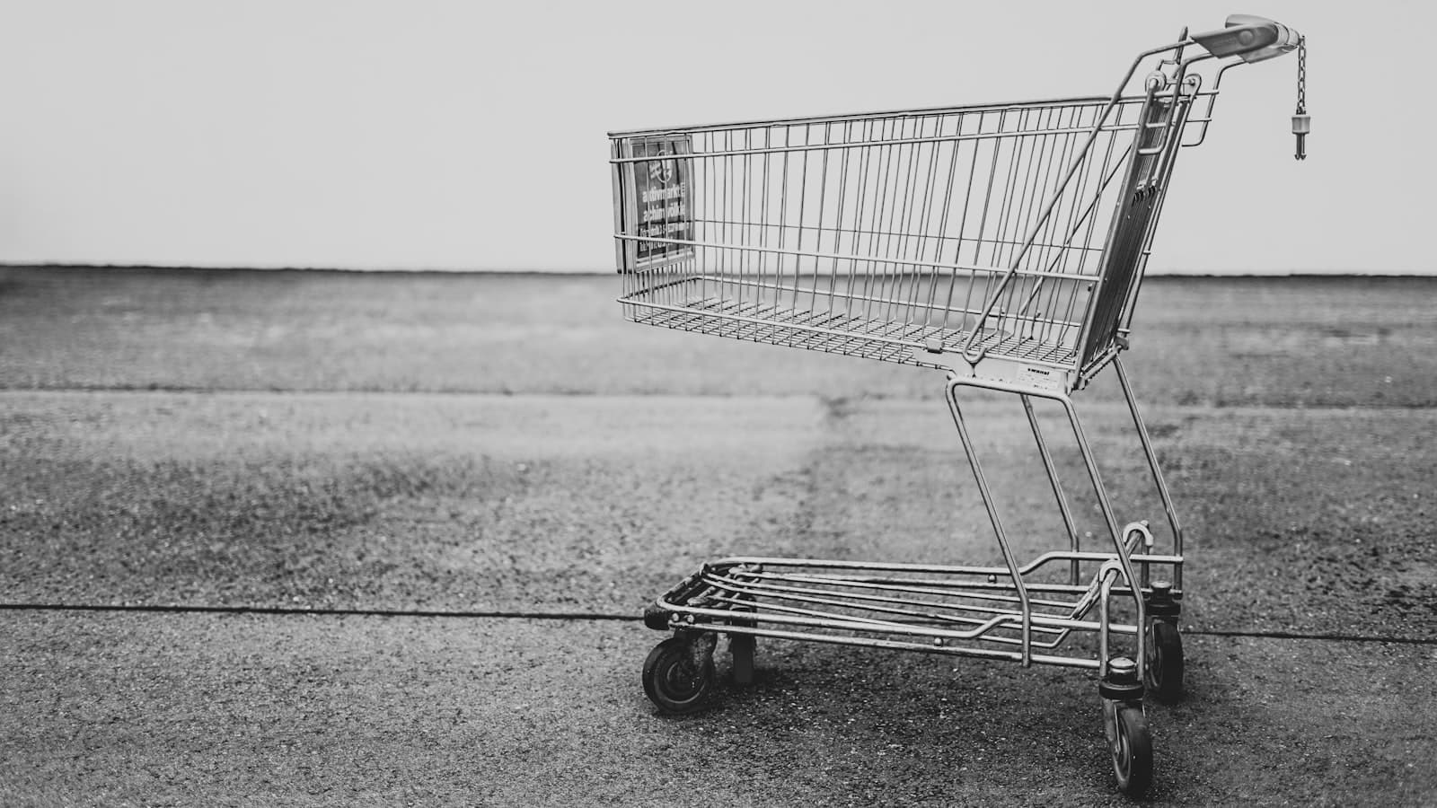 Migrating to Shopify Plus: What You Need to Know