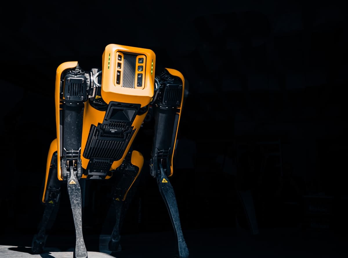AI & Automation